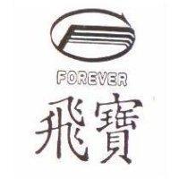 飛寶及圖 FOREVER