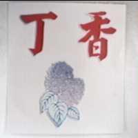 丁香及圖