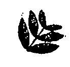 花紋圖樣(墨色)