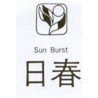 日春及圖 SUN BURST