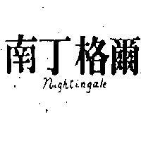 南丁格爾 NIGHTINGALE 