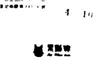 黑猫牌及圖