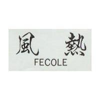 風熱 TECOLE