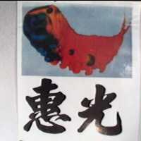 惠光及圖