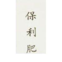 保利肥 PREGRO in Chiness characters