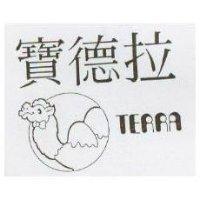 寶德拉及圖 TERRA