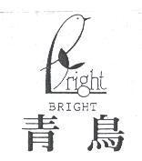青鳥及圖 BRIGHT