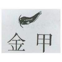 金甲及圖