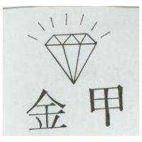 金甲及圖