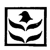 鴿子設計圖