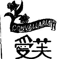 愛芙及圖 CONVALLARIA