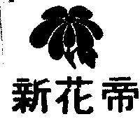 新花蒂及圖