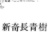 新奇長青樹