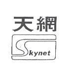 天網及圖 SKYNET