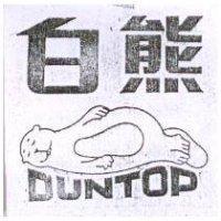 白熊及圖