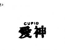 愛神 CUPID