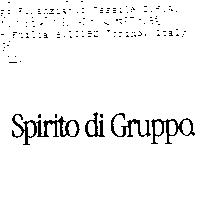 SPIRITO DI GRUPPO.