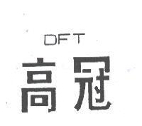 高冠 DFT