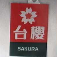 台櫻及圖 SAKURA
