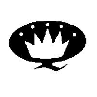 Q 冠設計圖