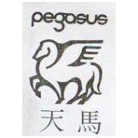 天馬 pegasus & logo