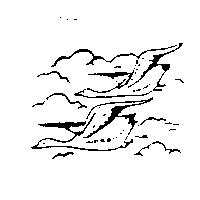 雙鵝圖