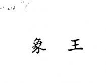 象王