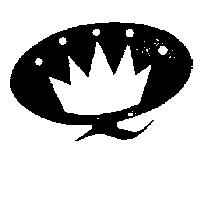 Q 冠設計圖