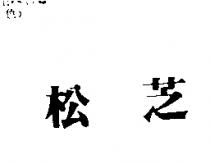 松芝