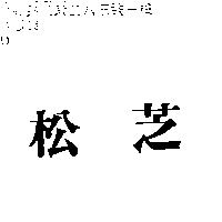 松芝