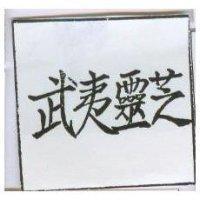 武夷靈芝