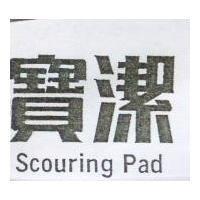 寶潔 SCOURING PAD