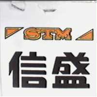 信盛及圖STM