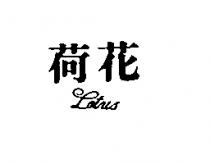 荷花 LOTUS