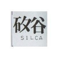 矽谷 SILCA
