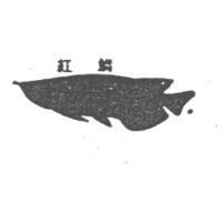 紅鱗及圖