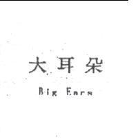 大耳朵 Big Ears