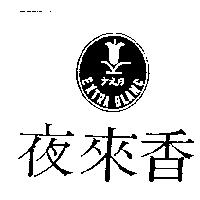 夜來香及圖 EXTRA BLANC うえの