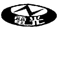 電光及圖