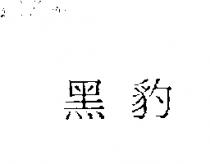 黑豹