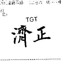 濟正 TGT