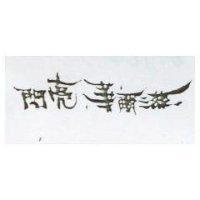 閃亮華爾滋及圖