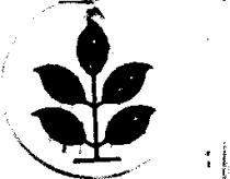正光公司標章(墨色)