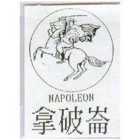 拿破崙及圖 NAPOLEON