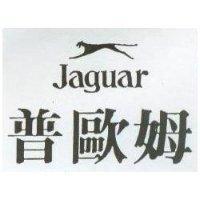 普歐姆及圖 JAGUAR