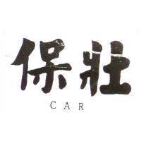 保壯 CAR