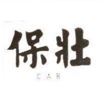 保壯 CAR
