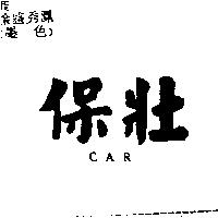 保壯 CAR
