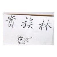 貴族林及圖 Dragon