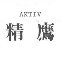 精鷹 AKTIV